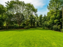 meadow-view-garden-view