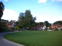 Fernhurst Green